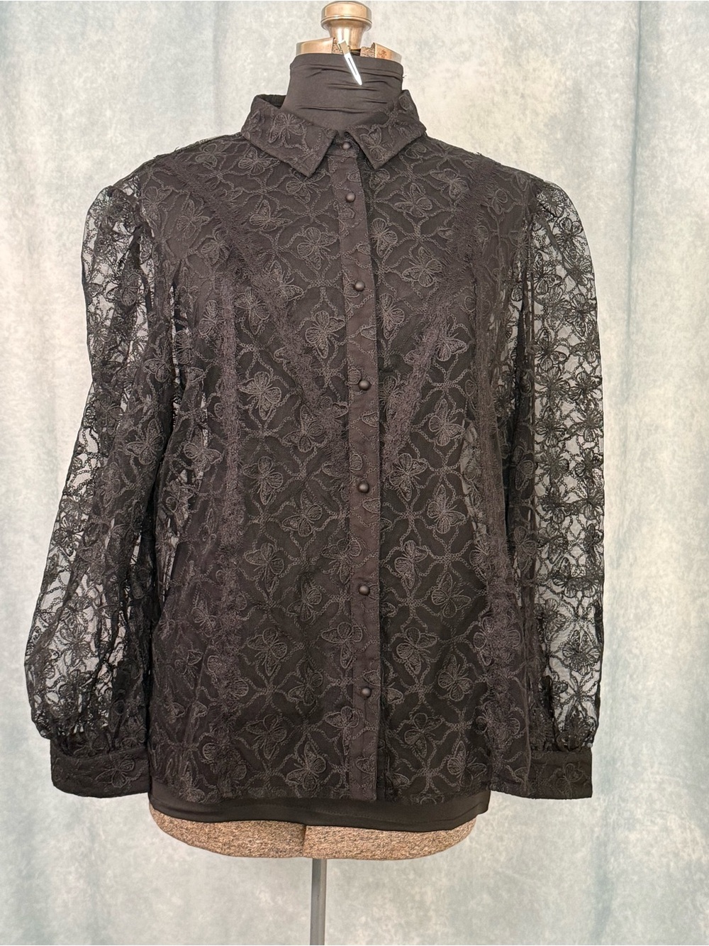 Brand New Disturbia Chrysalis Butterfly Lace Button-Down Blouse